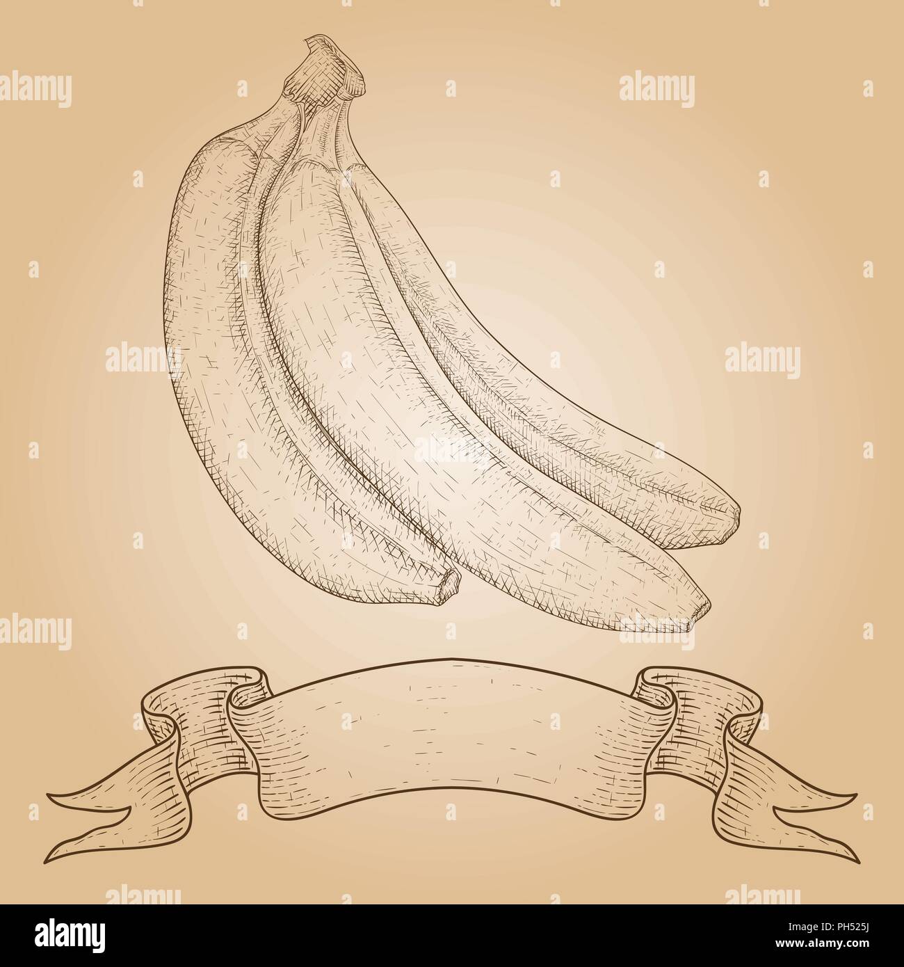 Banana. Mano bozzetto su sfondo beige Illustrazione Vettoriale
