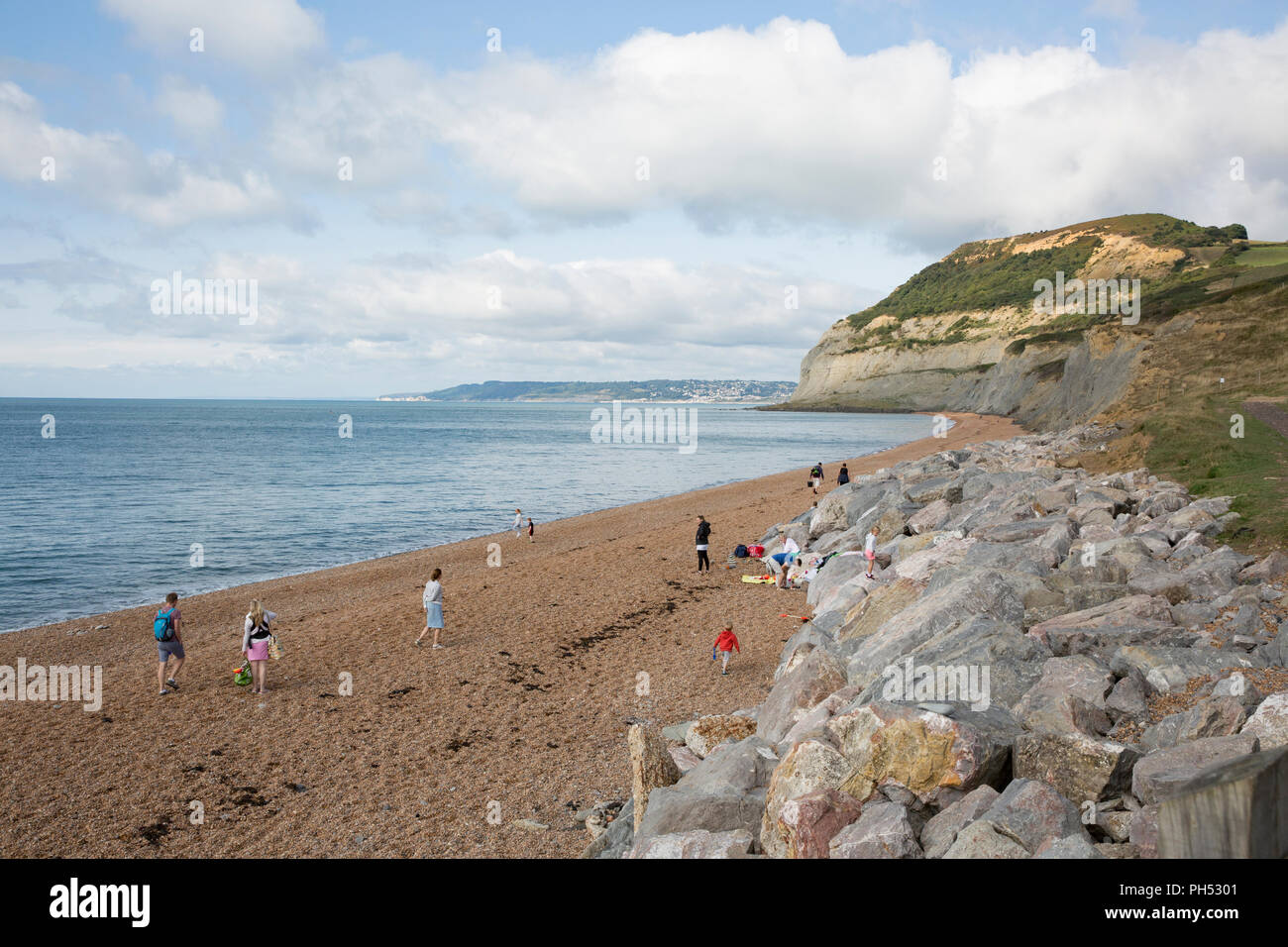 La vista a ovest dalla frazione Seatown con Golden Cap alla fine della spiaggia. La zona intorno al tappo di oro è osservato per un ampia gamma di fossili e am Foto Stock