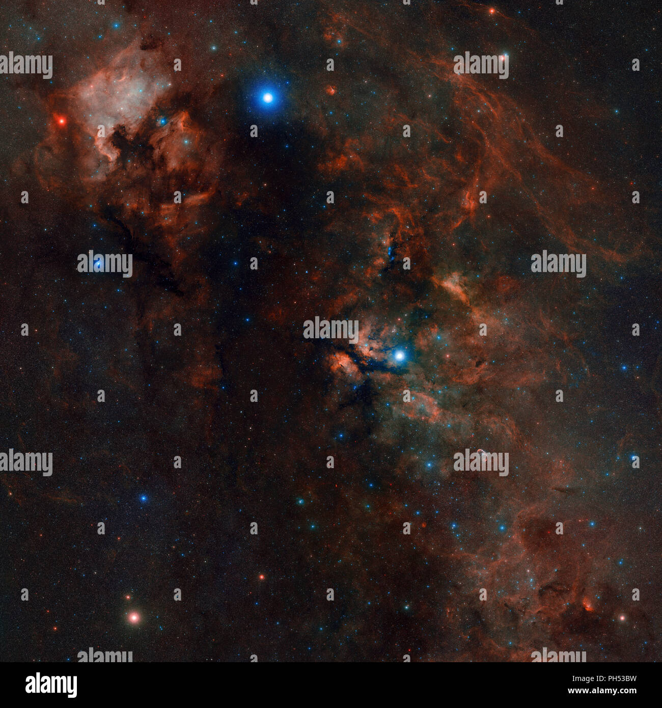 La costellazione del Cigno visto da Palomar, con l'America del nord Nebula, gamma Cygni Nebula, Deneb, il Crescent e altri gioielli galattico Foto Stock