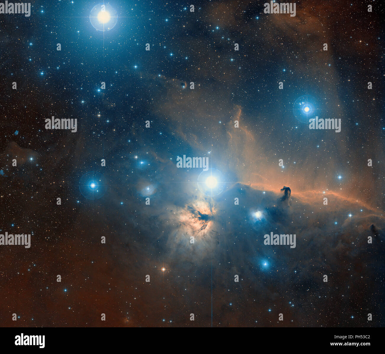 La testa di cavallo nebulosa oscura e nebulosa Fiamma nella costellazione di Orione Foto Stock