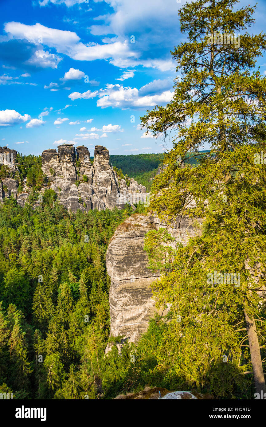 Montagne di roccia arenaria dell'Elba è parte della Svizzera Sassone parco nazionale in Germania Foto Stock