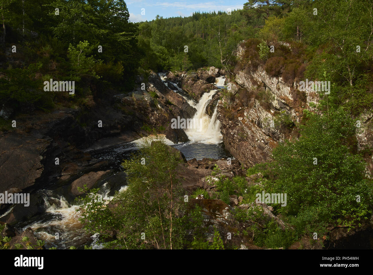Rogie Falls, Contin, Highland, Scotland, Regno Unito Foto Stock
