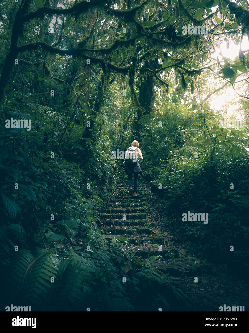 Donna che cammina nella giungla della Costa Rica. Foto Stock