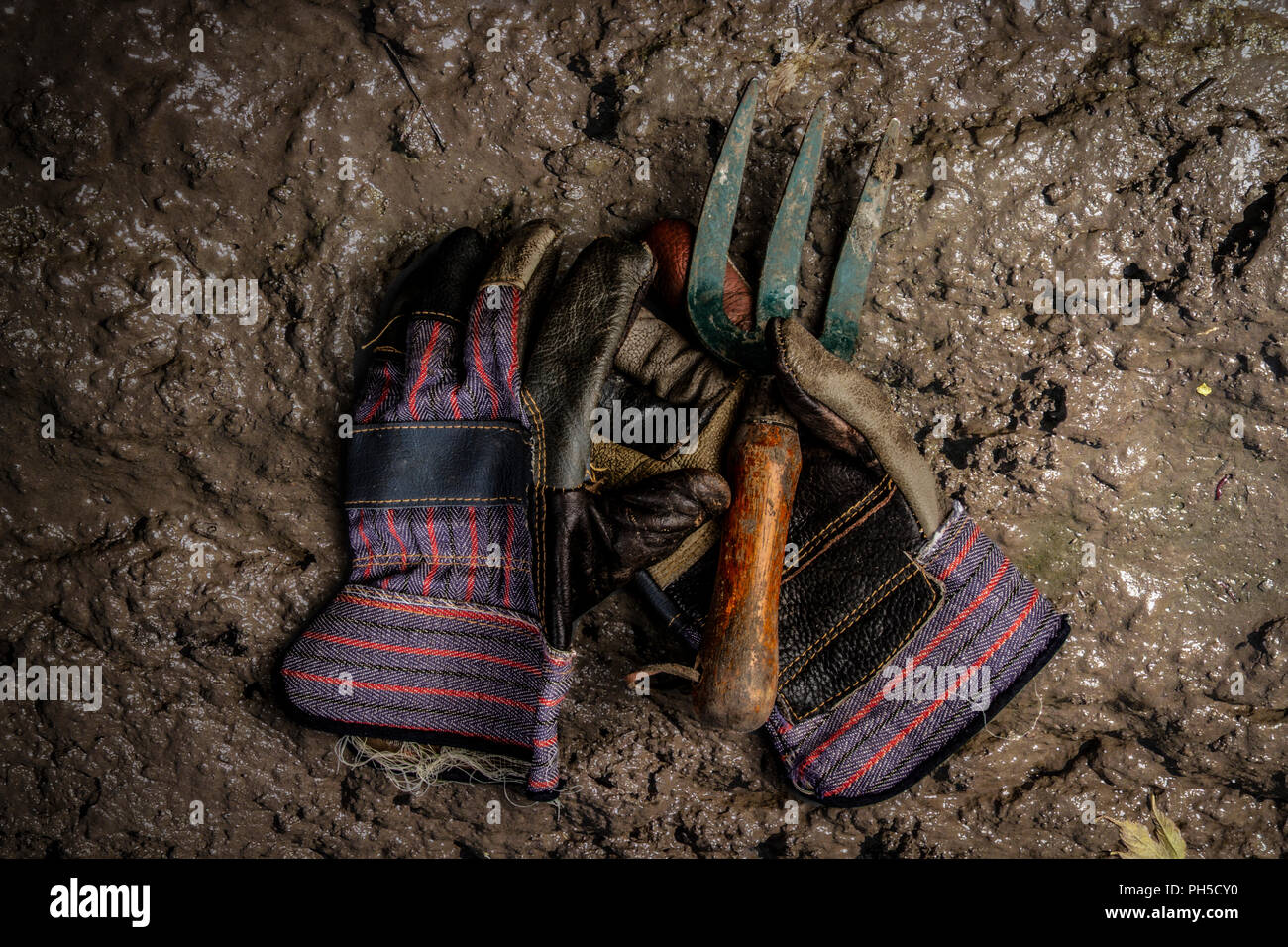 Guanti da giardinaggio e forcella a mano Foto Stock