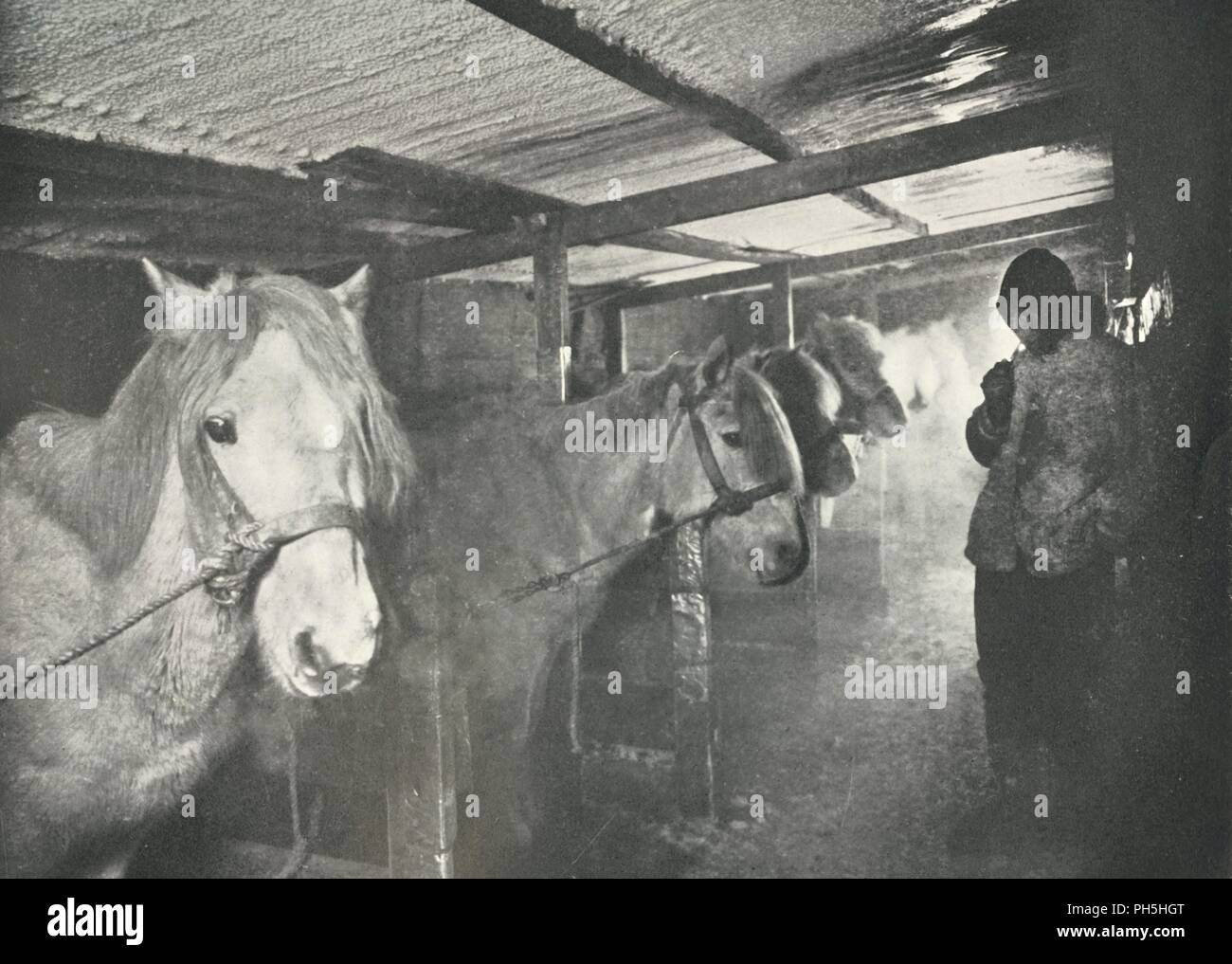 "Le Scuderie in inverno', C1910-1911, (1913). Artista: Herbert ponting. Foto Stock