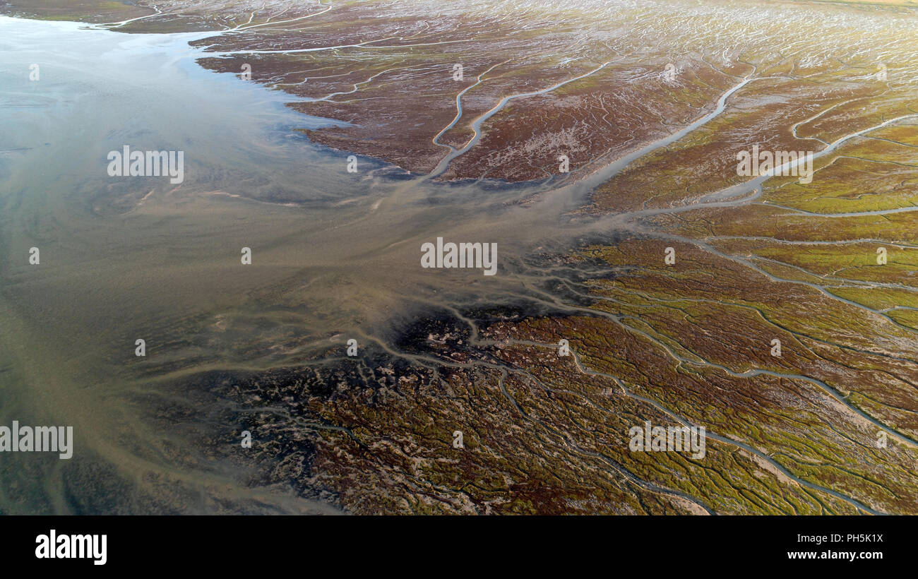 Forme naturali e modelli in Bonne Anse bay a bassa marea Foto Stock