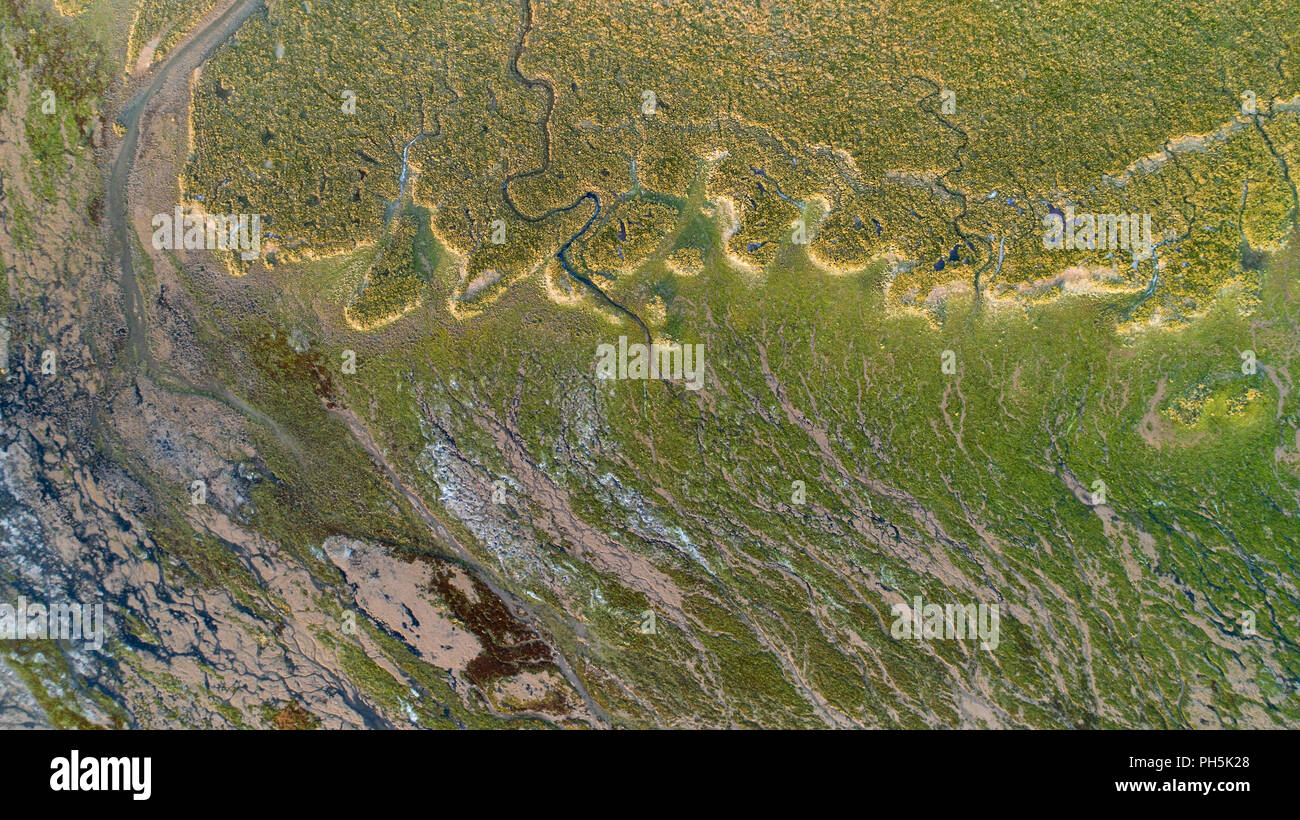 Forme naturali e modelli in Bonne Anse bay a bassa marea Foto Stock