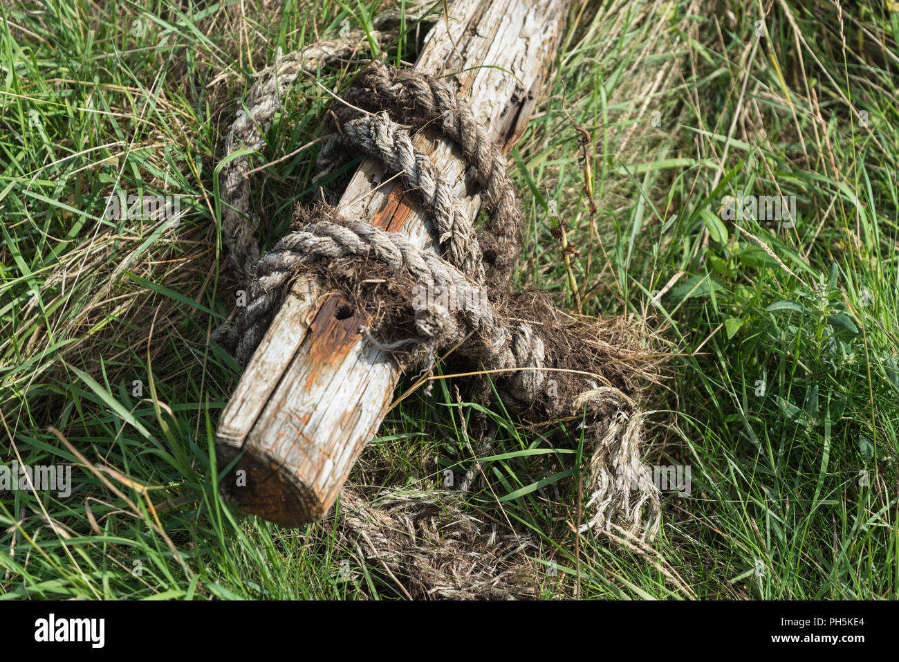 Usurato e sfilacciata corda nautica avvolta intorno a un marciume palo di legno sulla riva del fiume a Skippool Creek vicino a Poulton-le-Fylde, Lancashire, Inghilterra, Regno Unito Foto Stock
