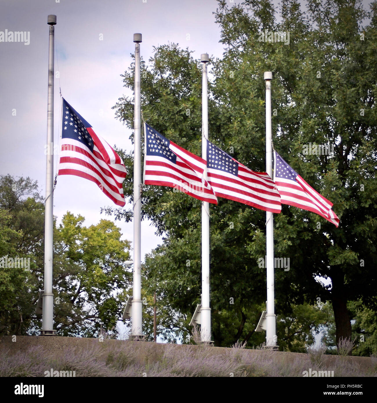 Bandiere di volare a metà-montante in onore del paese caduti Foto Stock
