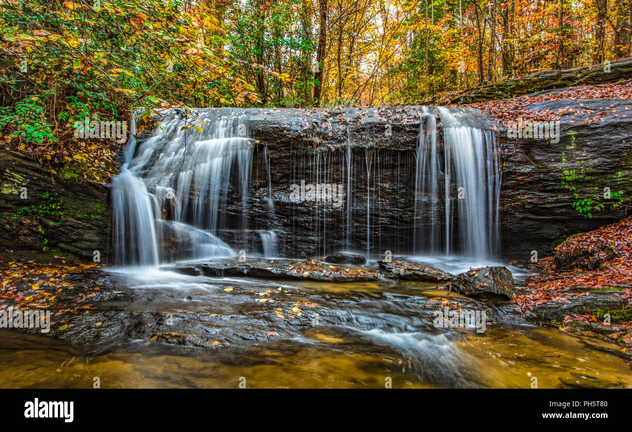 Wildcat cade nei pressi di Table Rock State Park in Greenville, South Carolina, Stati Uniti d'America. Foto Stock