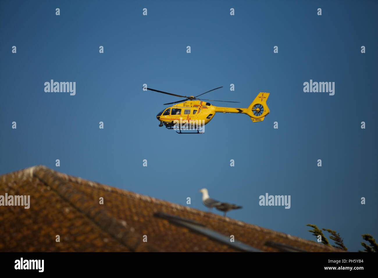 East Anglian Air Ambulance Foto Stock