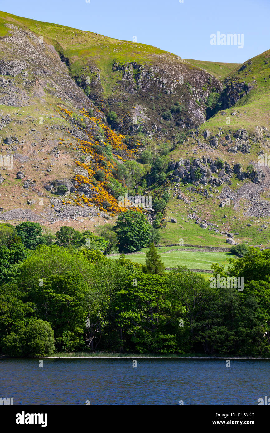 Le banche di Ullswater, Parco Nazionale del Distretto dei Laghi, Cumbria, England, Regno Unito Foto Stock