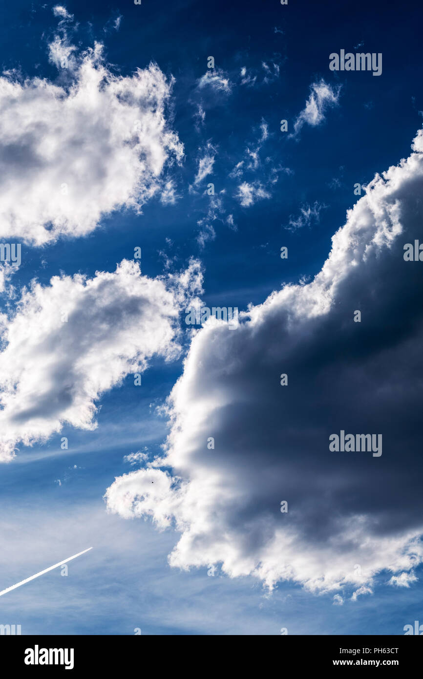 Contrails dal getto piano; puffy white cumulus nuvole contro un chiaro blu centrali cielo Colorado; USA Foto Stock
