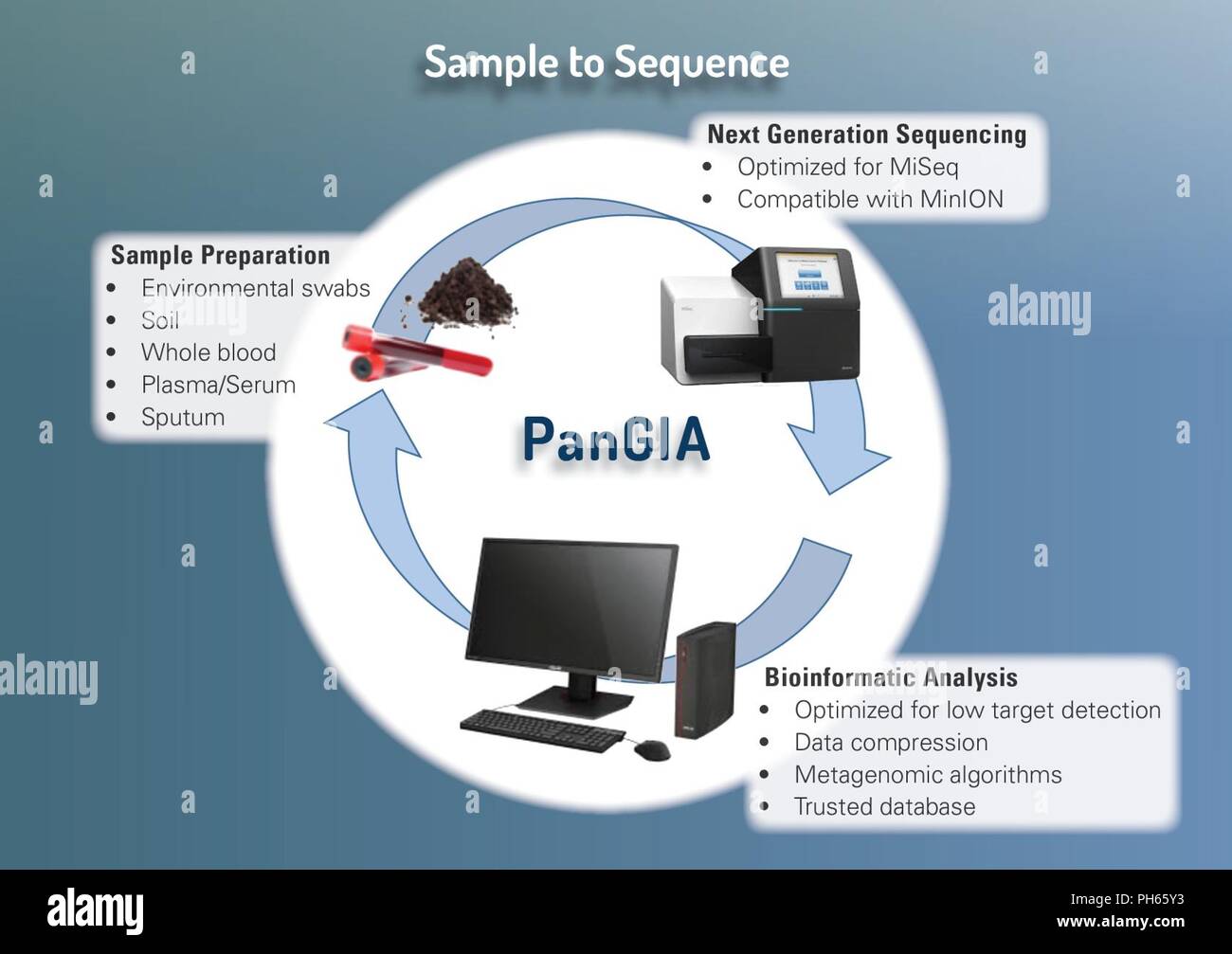 Campione in sequenza Foto Stock