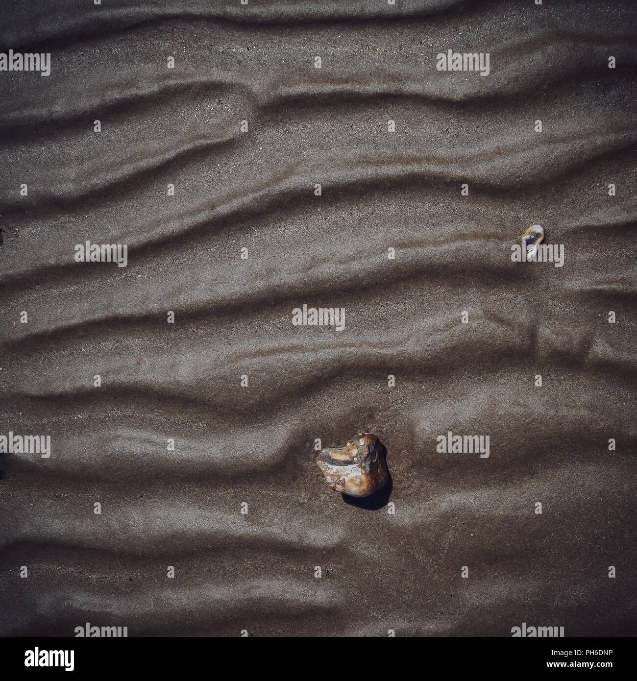 Singola pietra su una texture di sfondo sabbia. Foto Stock