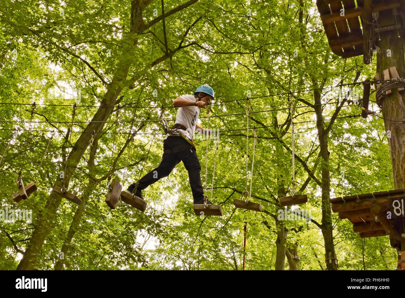 Ragazzo a piedi su tavole di legno in alto tra gli alberi in una scalata parco avventura. Foto Stock