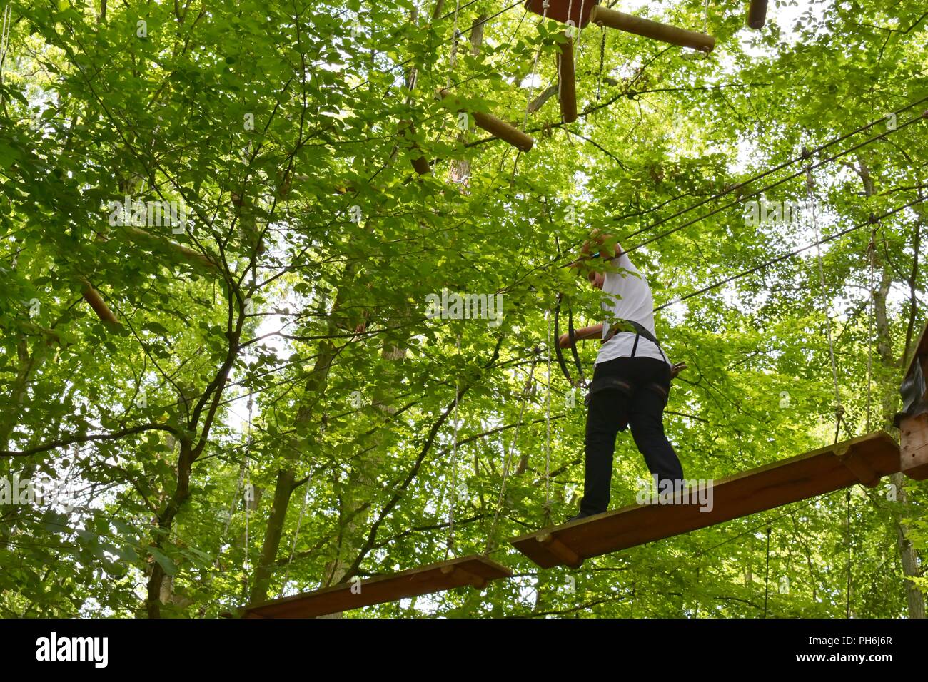 Ragazzo a piedi su tavole di legno in alto tra gli alberi in una scalata parco avventura. Foto Stock