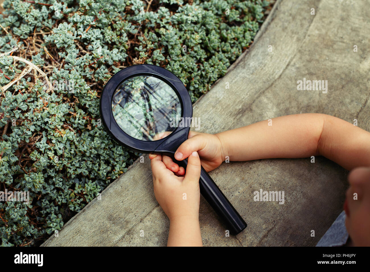 Macro Closeup dei bambini ragazza mani tenendo la lente di ingrandimento.  Il verde delle foglie di una pianta, vista attraverso la lente di  ingrandimento. Lo studio della natura il concetto di apprendimento.
