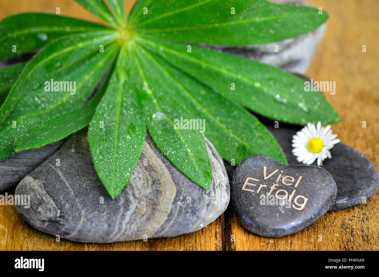 Wellness pietre fiore di equilibrio Foto Stock