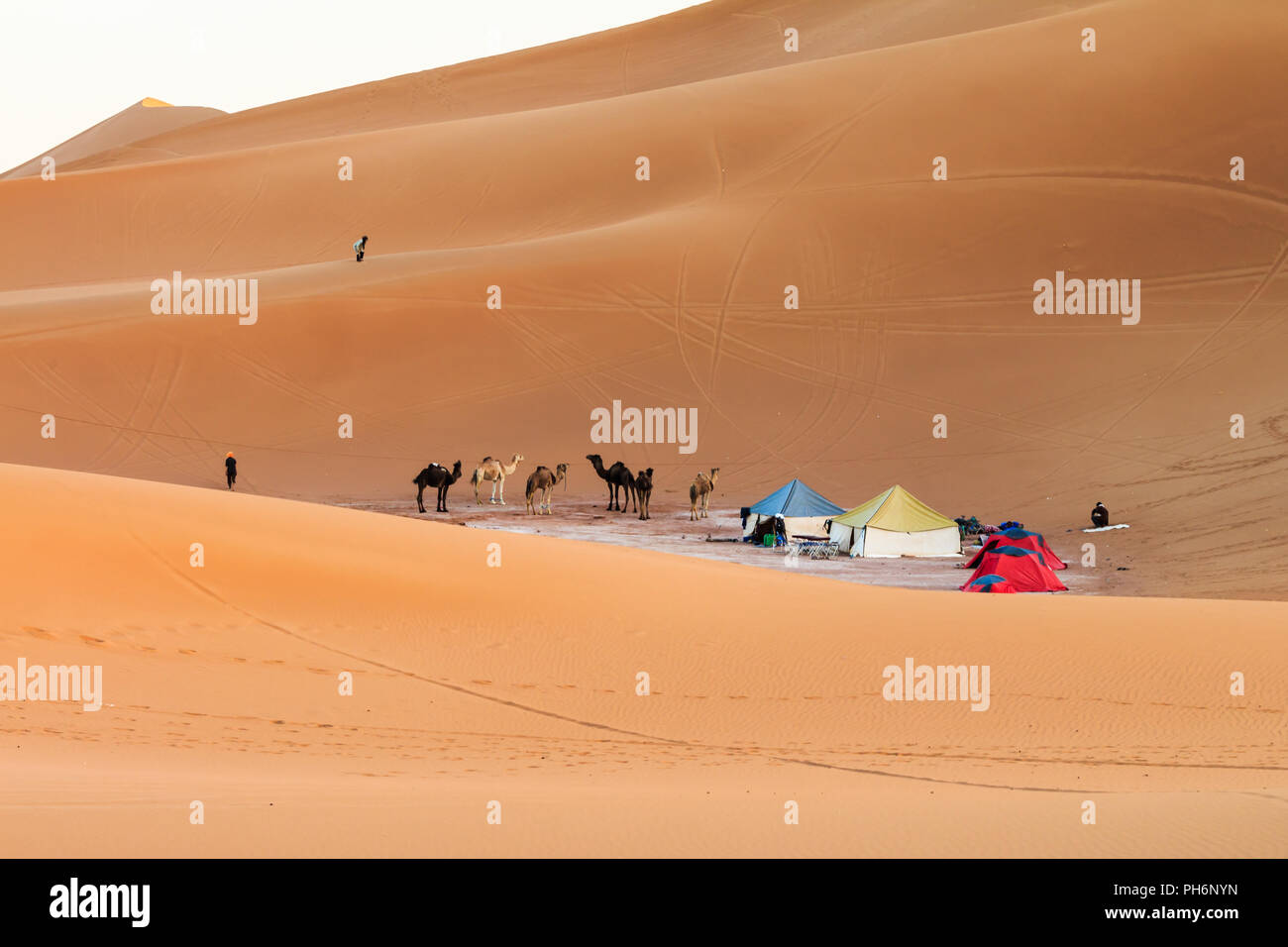 Camp nel deserto del Sahara Foto Stock