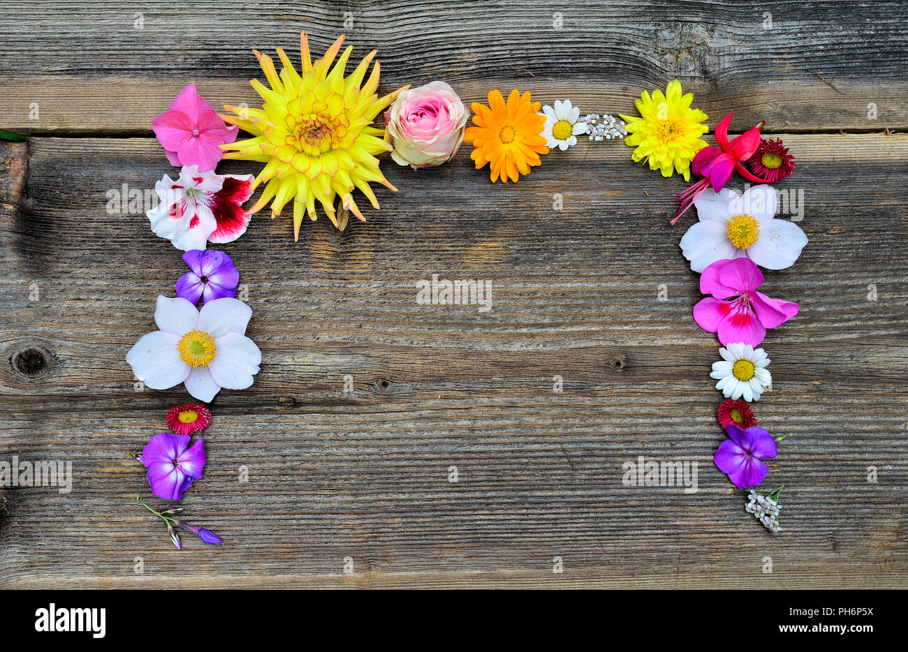 Fiori in legno del telaio Foto Stock