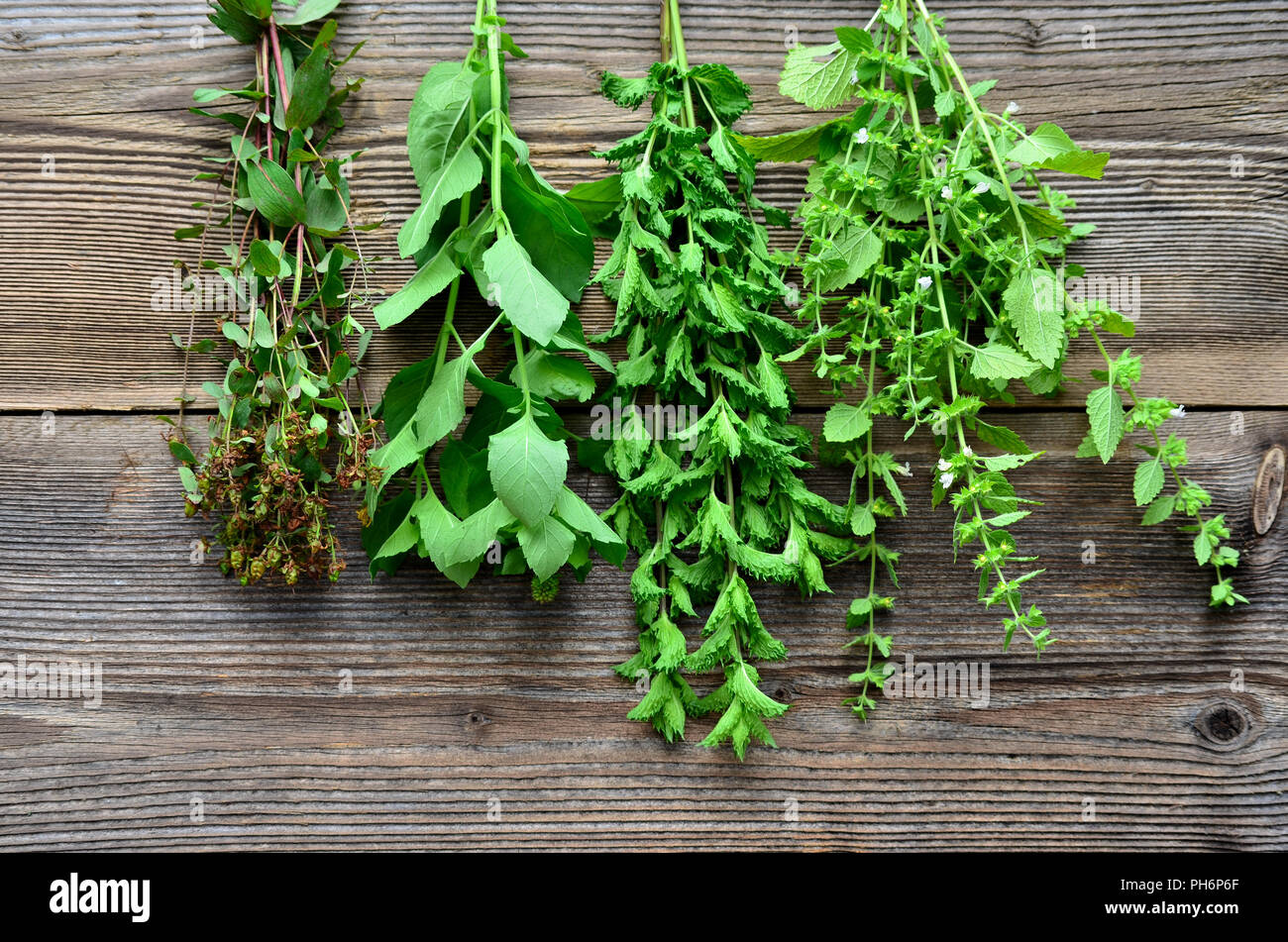 Il tè alla menta a base di erbe di sfondo di legno Foto Stock