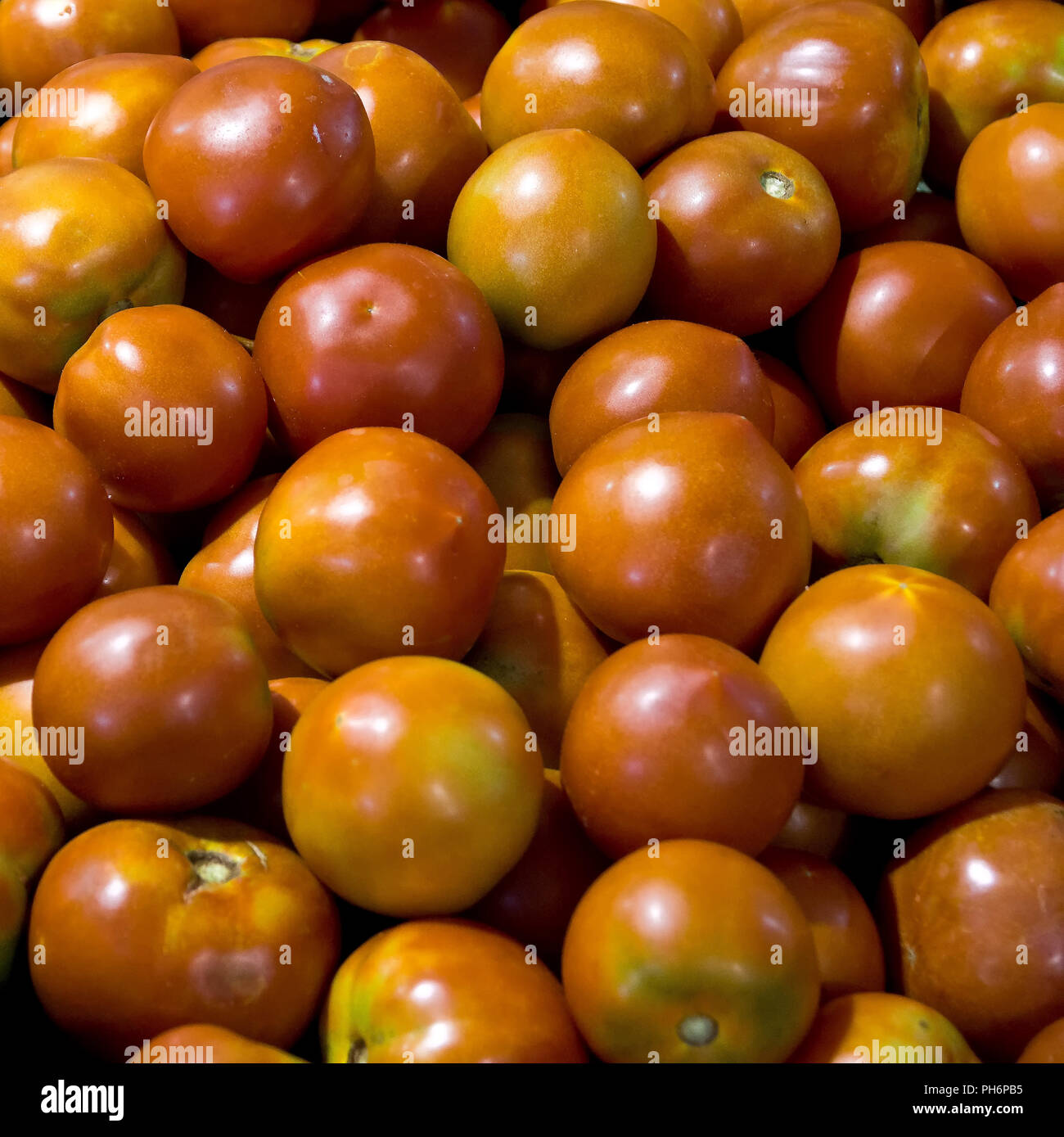 Pomodori Foto Stock
