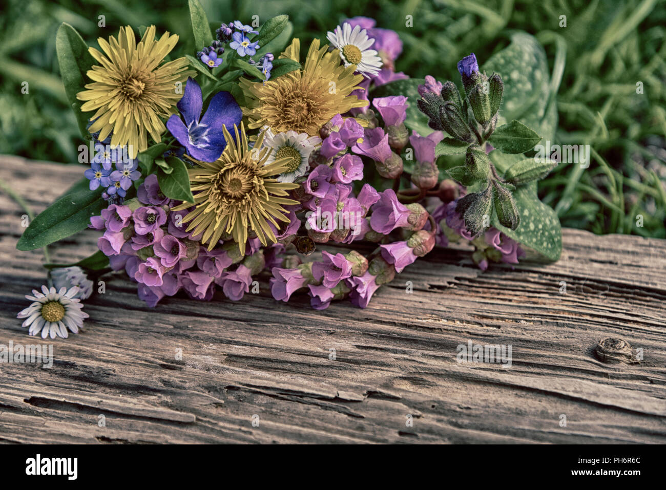 Fiori di Primavera su una tavola di legno Foto Stock