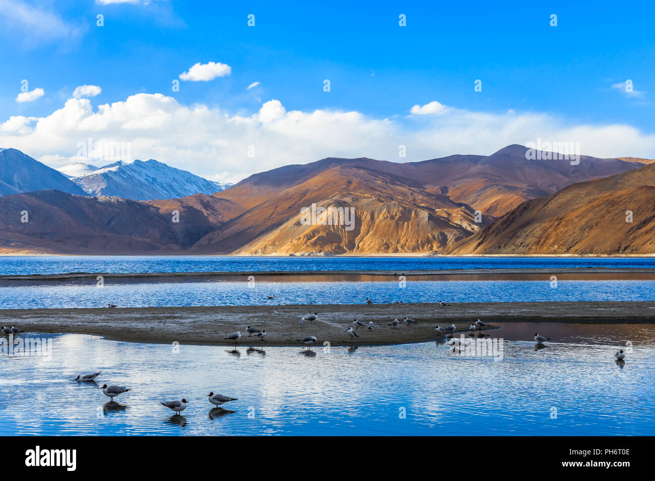 Lago Pangong al mattino Foto Stock