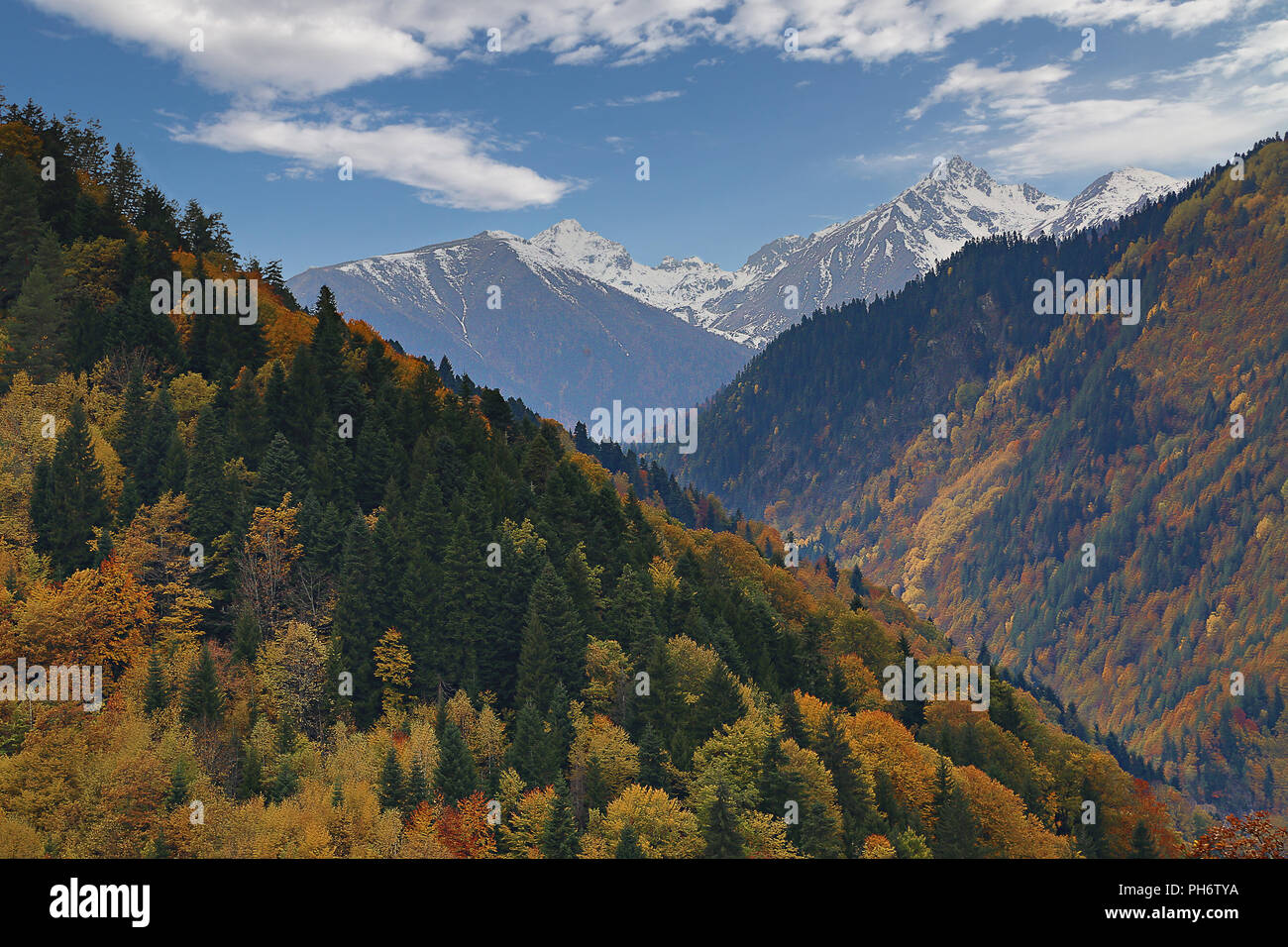 I colori dell'autunno nelle montagne del Caucaso in Georgia. Foto Stock