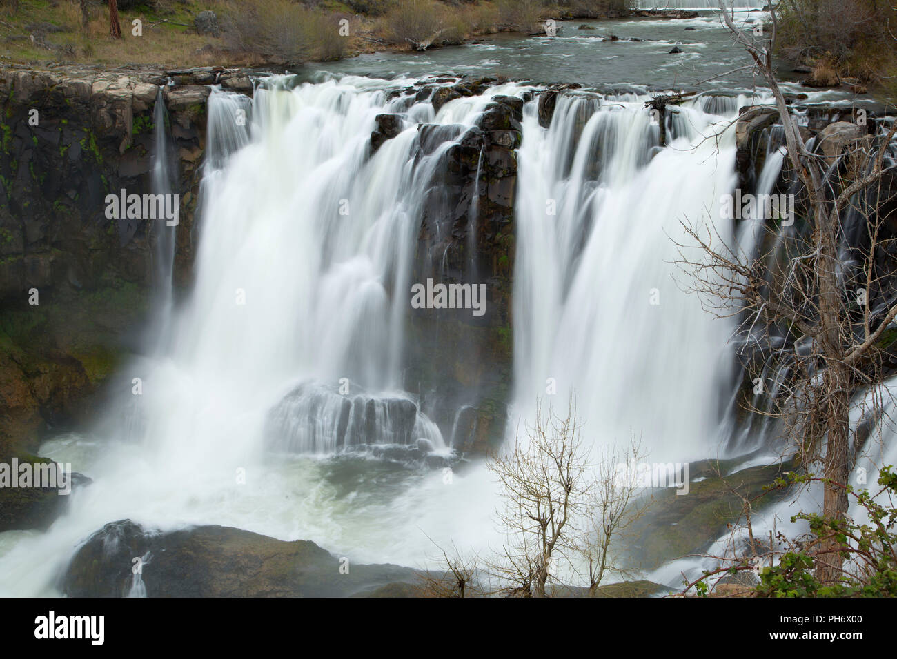 White River Falls, White River Falls State Park, bianco selvaggio e Scenic River, Oregon Foto Stock