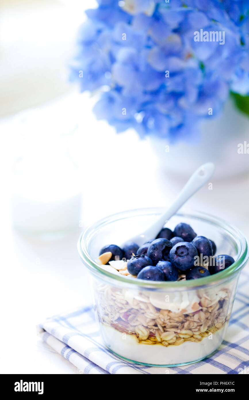 Cereali per la prima colazione con yogurt e mirtilli Foto Stock