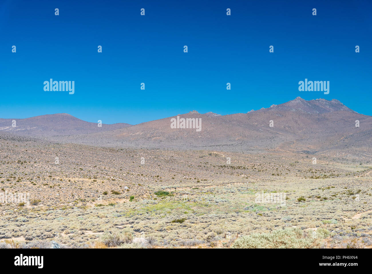 "Vasta vallata desertica con montagne brulle sotto il cielo blu. Foto Stock