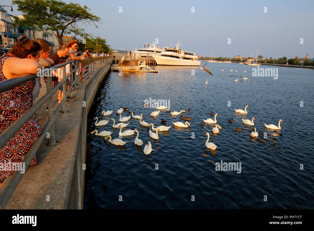 Le persone godono di una serata fuori lungo Emmons Ave in Sheepshead Bay Foto Stock