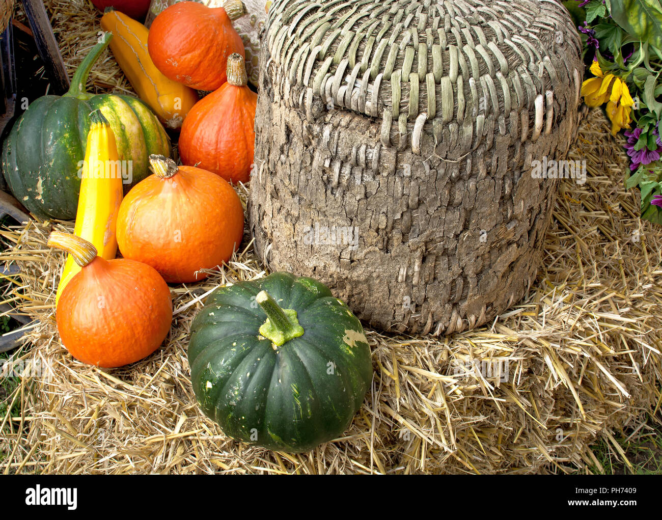 Lavoro in vimini Foto Stock