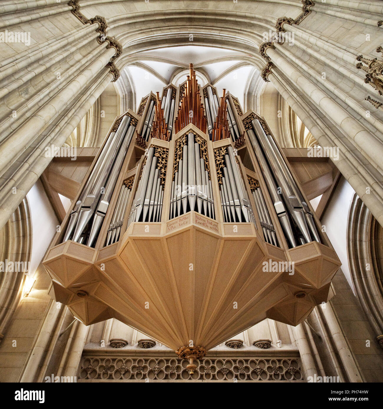 Organo, Lamberti Chiesa, Muenster, Germania Foto Stock