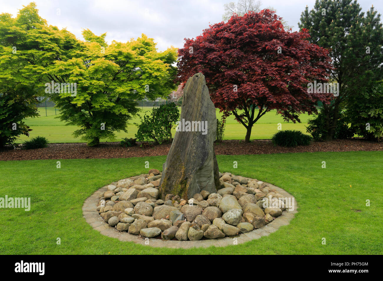 Fiori di Primavera in Fitz Park, Keswick Town, Parco Nazionale del Distretto dei Laghi, Cumbria County, England, Regno Unito Foto Stock