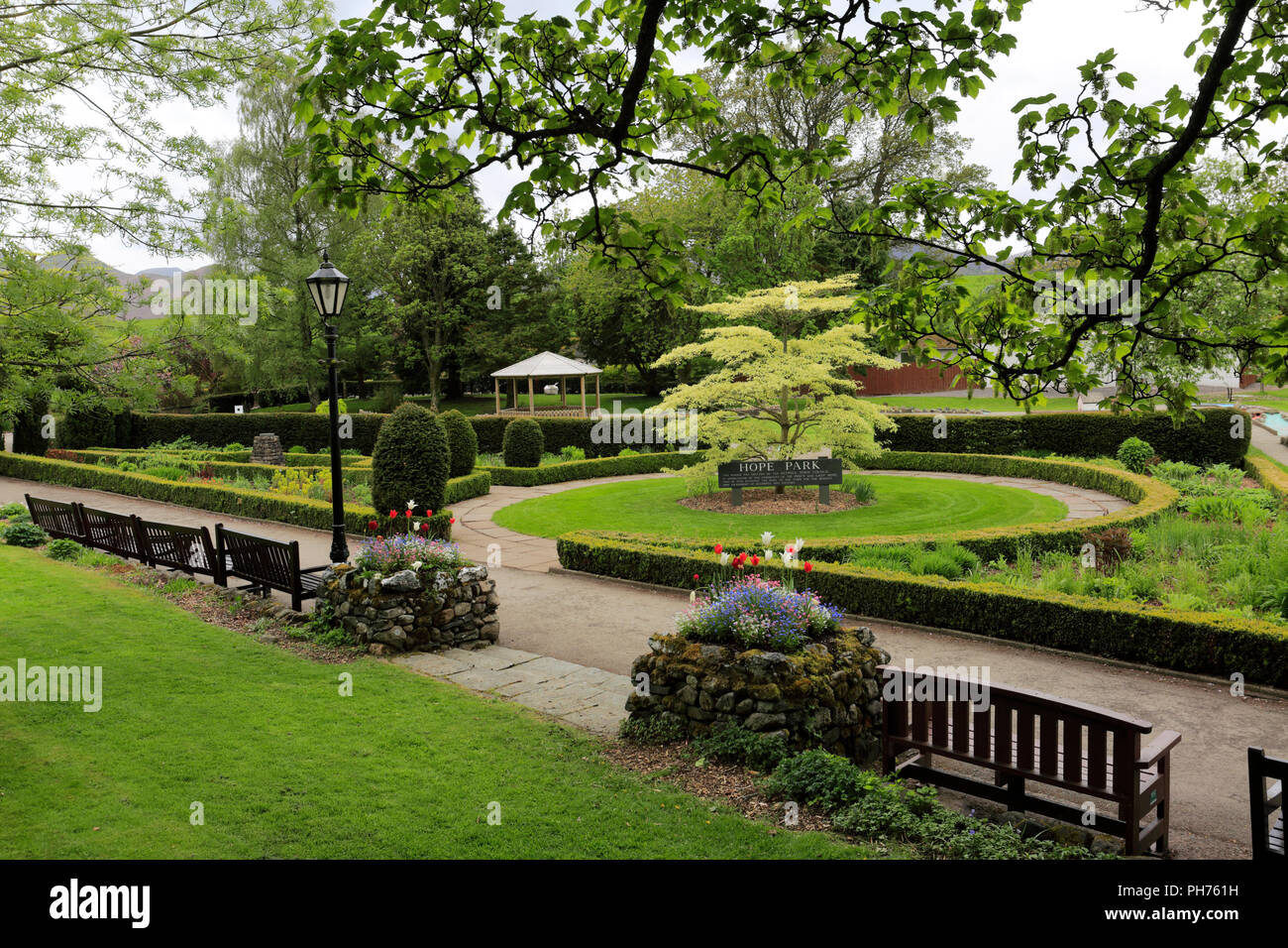 Fiori di Primavera nella speranza Park, Keswick Town, Parco Nazionale del Distretto dei Laghi, Cumbria County, England, Regno Unito Foto Stock