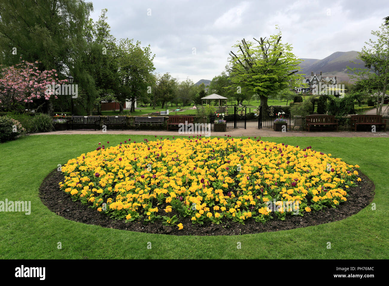 Fiori di Primavera nella speranza Park, Keswick Town, Parco Nazionale del Distretto dei Laghi, Cumbria County, England, Regno Unito Foto Stock