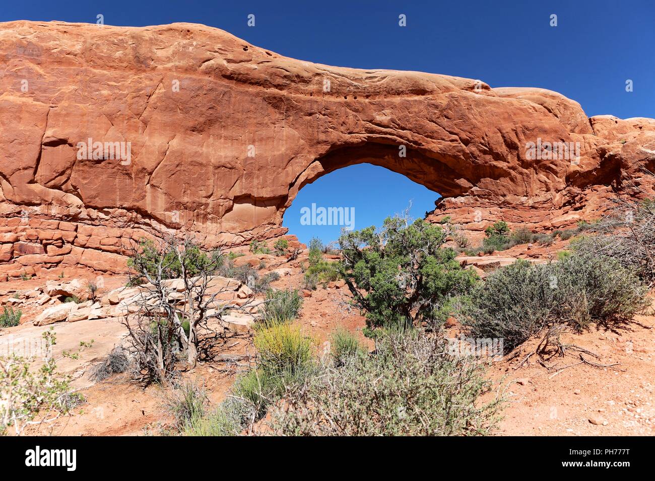 Il nord arch Arches National Park nello Utah Stati Uniti d'America Foto Stock