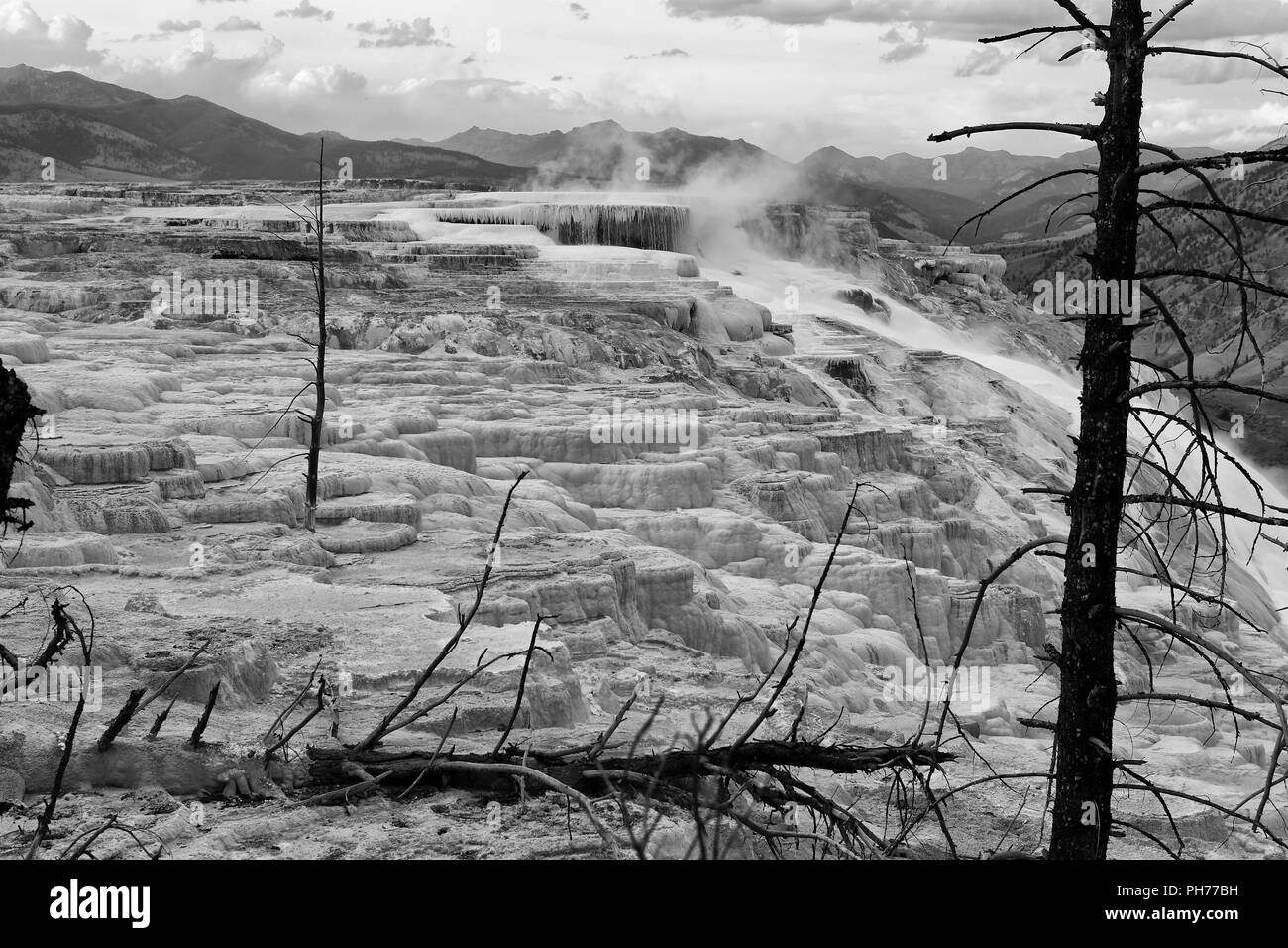 Mammoth Hot Springs nel Parco Nazionale di Yellowstone Foto Stock