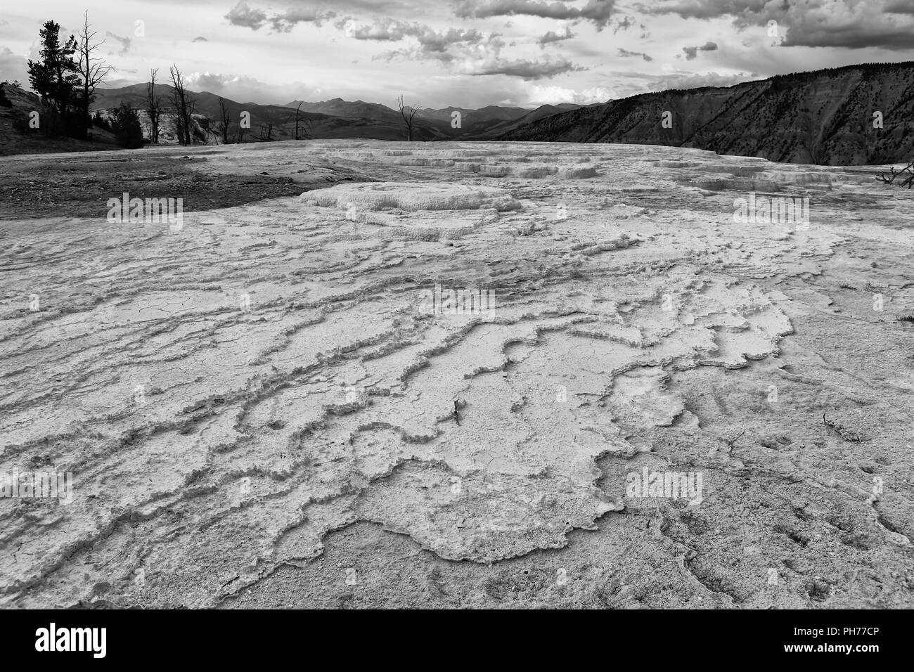 Il Mammoth Hot Springs Foto Stock