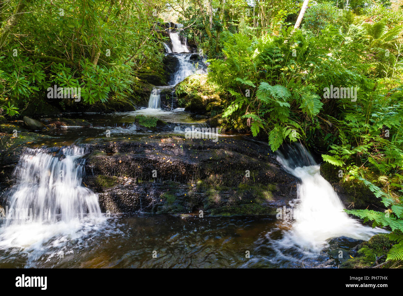Piccolo fiume e cascata in privato giardino irlandese, Templenoe, Kenmare, nella contea di Kerry, Irlanda Foto Stock