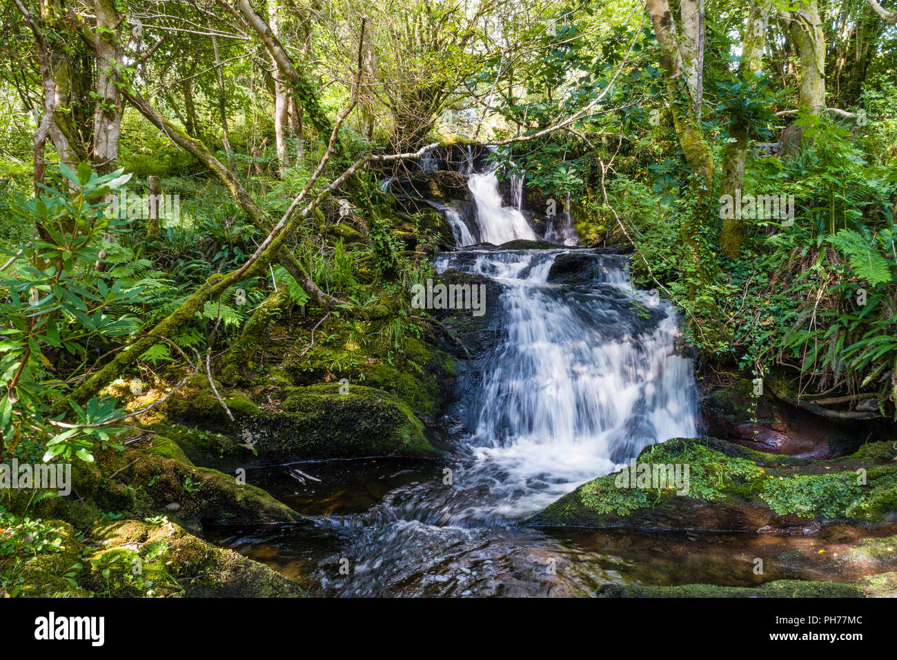 Piccolo fiume e cascata in privato giardino irlandese, Templenoe, Kenmare, nella contea di Kerry, Irlanda Foto Stock