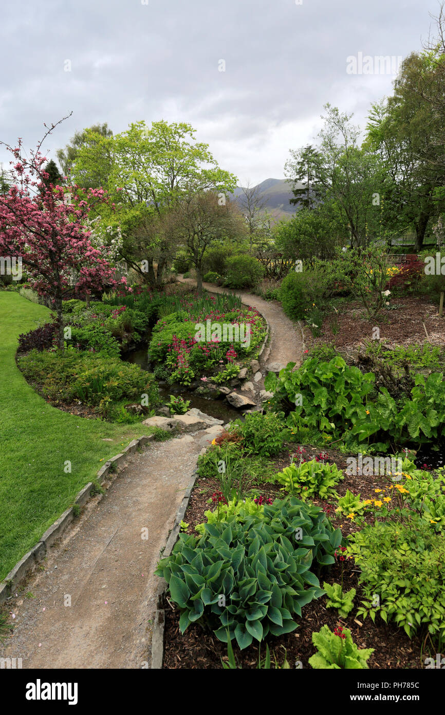 Fiori di Primavera nella speranza Park, Keswick Town, Parco Nazionale del Distretto dei Laghi, Cumbria County, England, Regno Unito Foto Stock