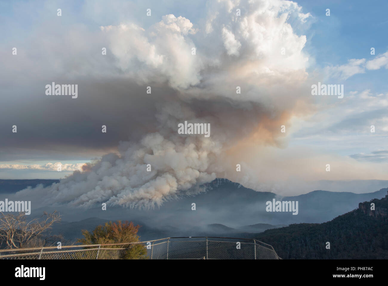 Pericolo di incendio la riduzione a monte solitario, Blue Mountains, Australia Foto Stock