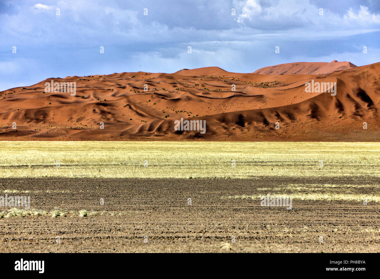 Un grande dune del Namib Naukluft Park namibia africa Foto Stock