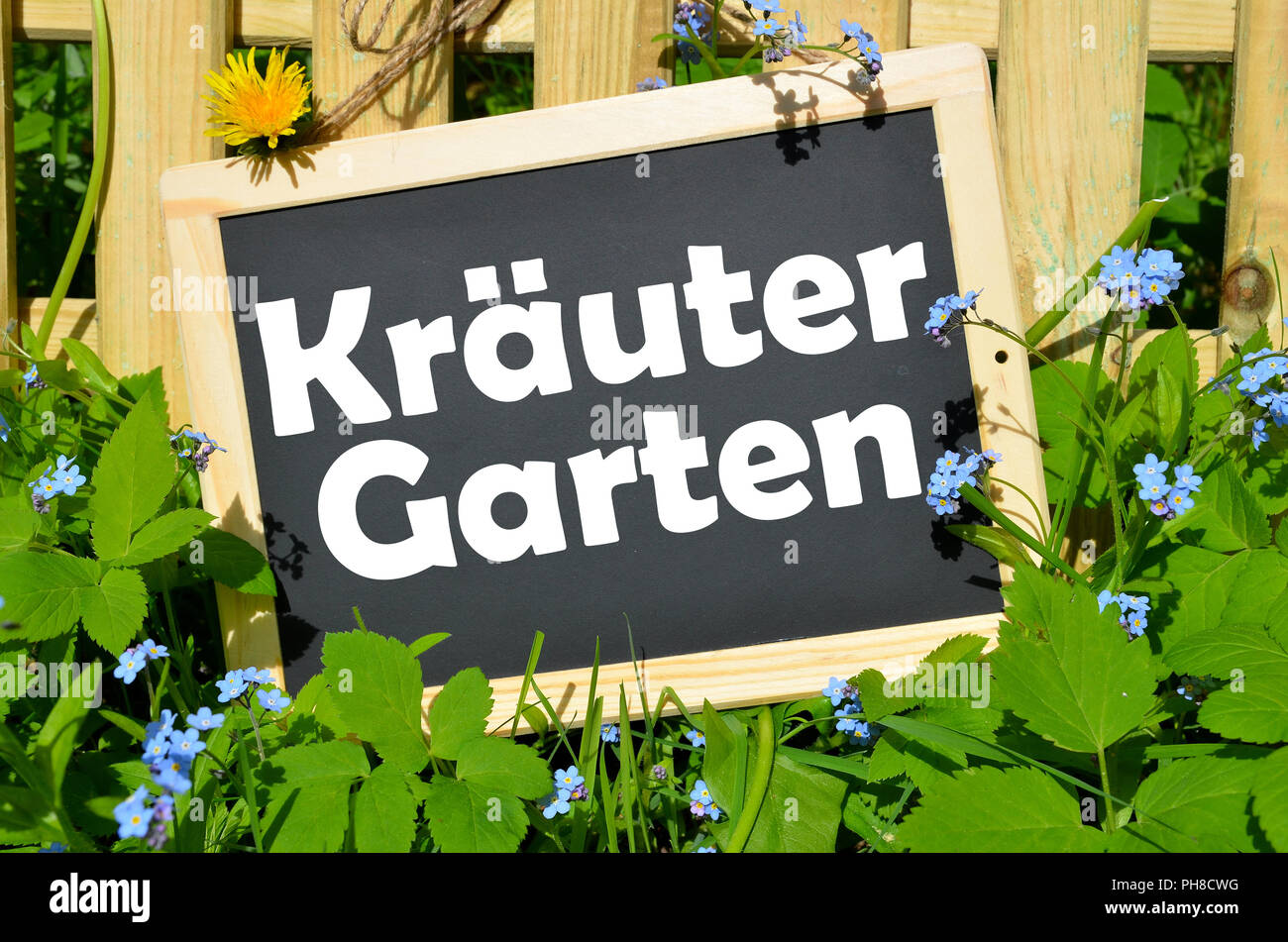 Segno di erbe con fiori su recinzione Foto Stock