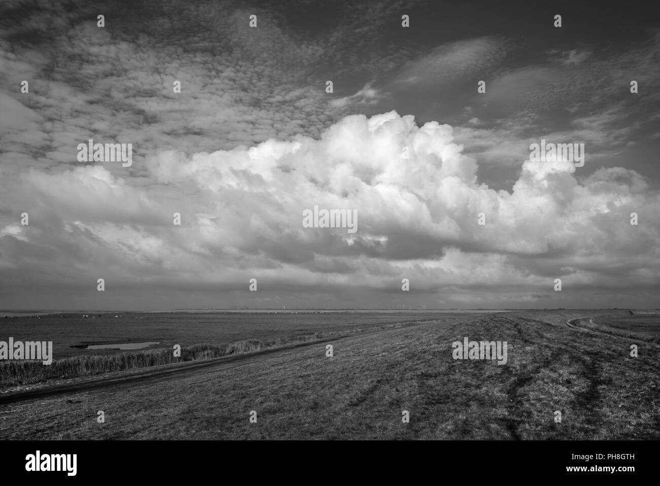 Il mare del Nord - dyke scenario vicino a Cuxhaven Foto Stock