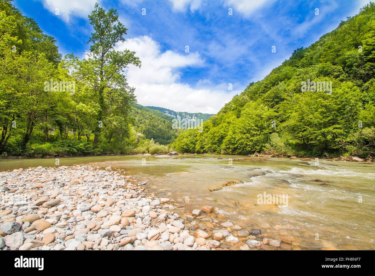 La regione del Gorski kotar, il canyon del fiume Kupa, Croazia, natura verde paesaggio di montagna Foto Stock